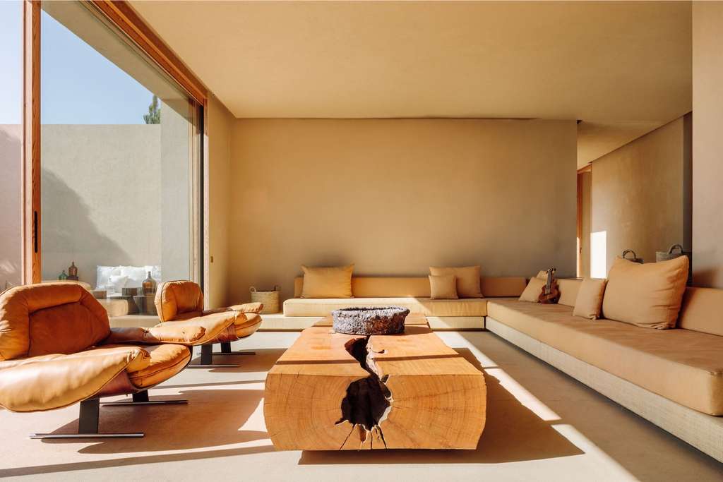 Living room with a leather armchair, long sofa and a tree-trunk table