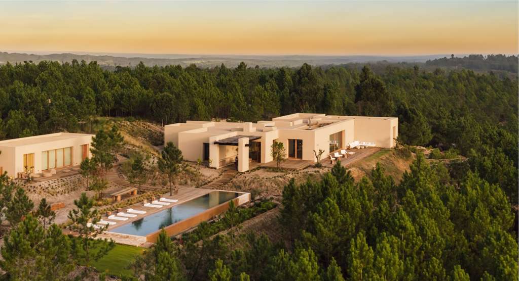 Aerial view of a villa with a long pool among pine forest at sunset