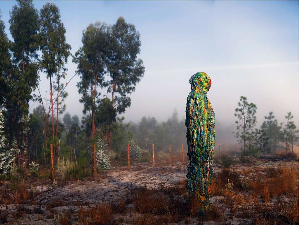Colorful hooded figure sculpture in a misty eucalyptus clearing