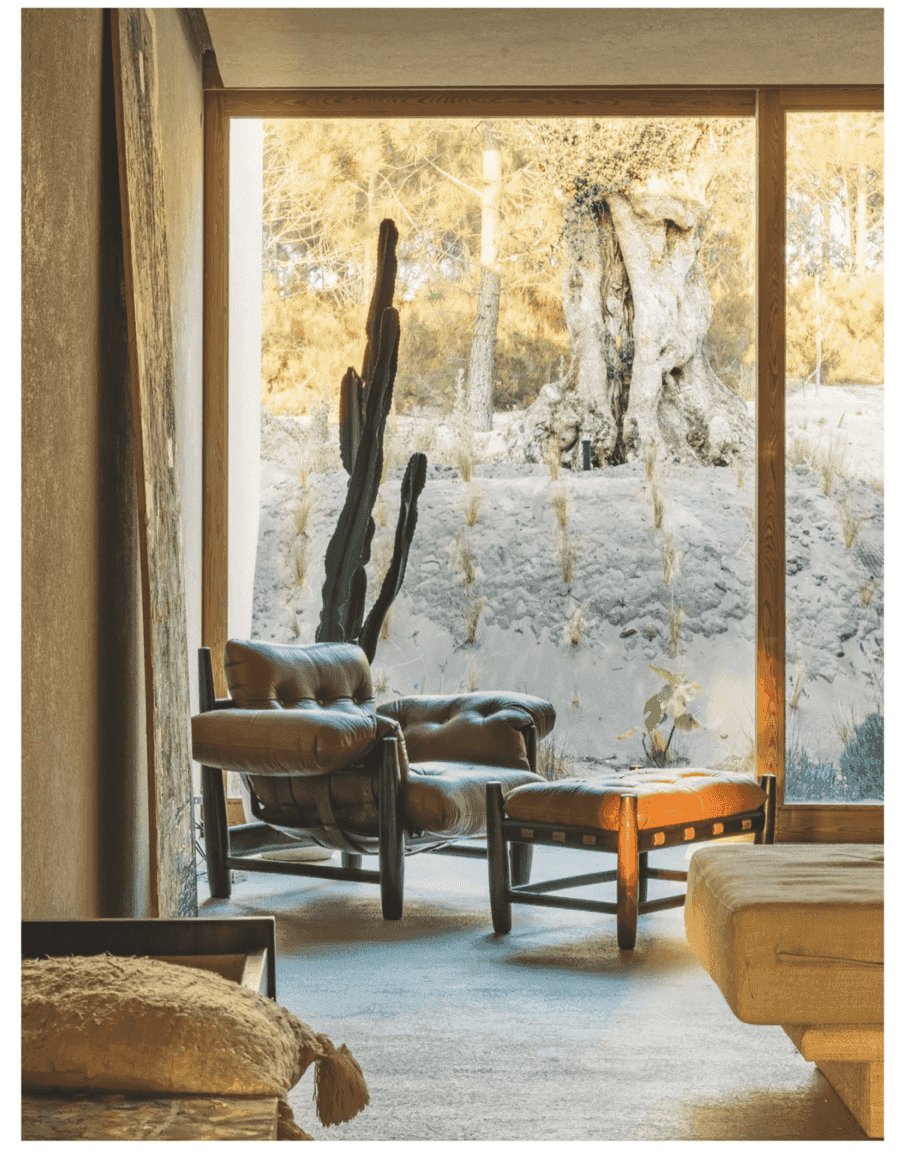 Conde Nast Traveller full-page photo of a living room with armchair and cactus