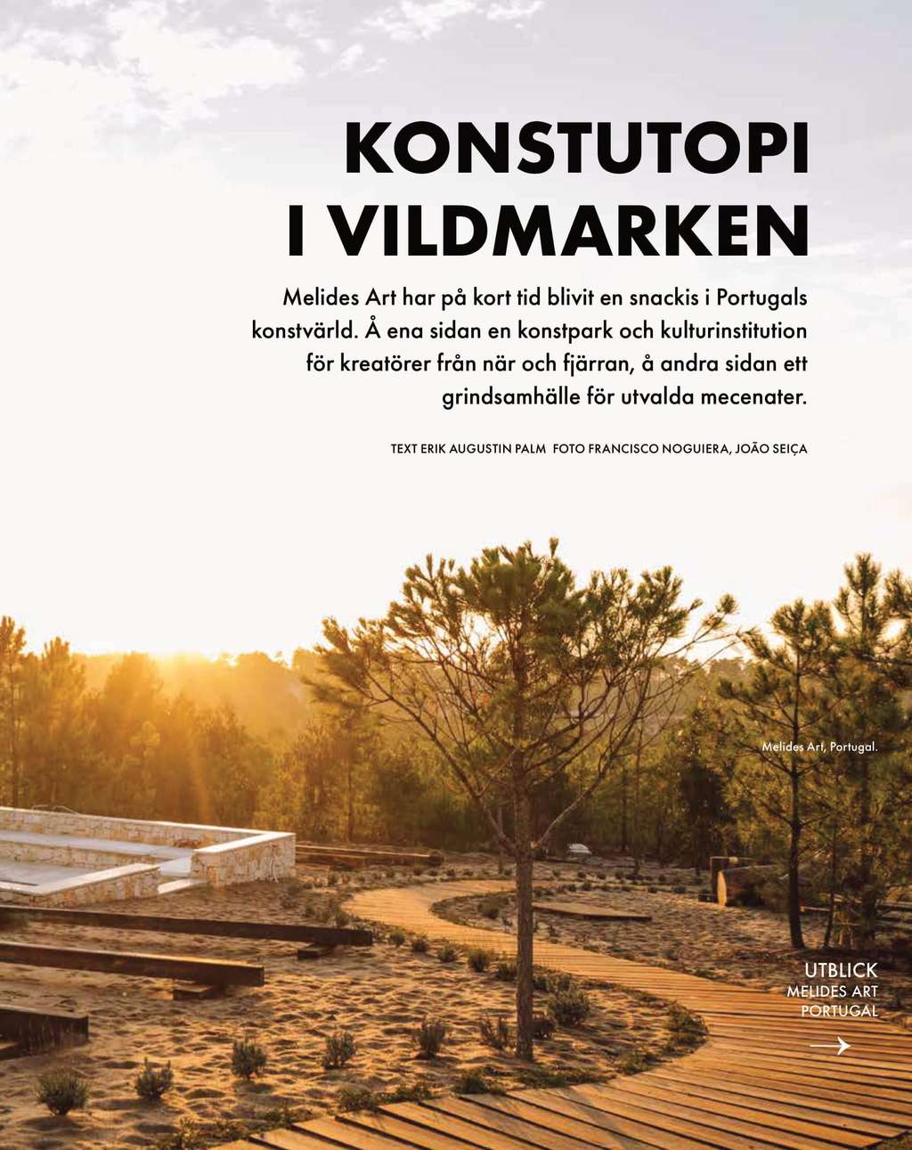 Konstutopi article opening page in Swedish with a wooden path through dunes at sunset