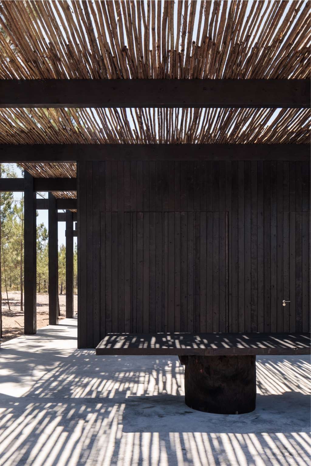 Pavillion Art Center