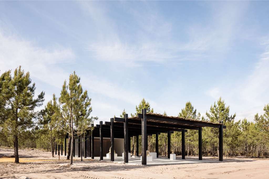 Pavillion Art Center sculpture gallery