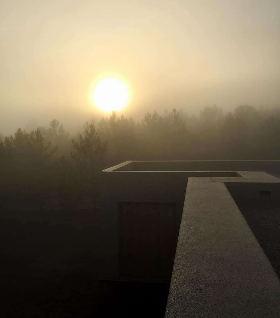 Sun rising through mist above a concrete walkway and trees