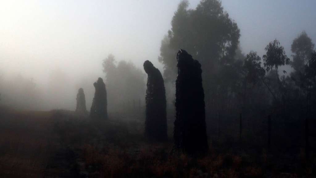 Dark figure sculptures standing in thick fog among trees