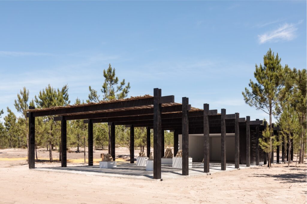 Pavillion Art Center Sculptures