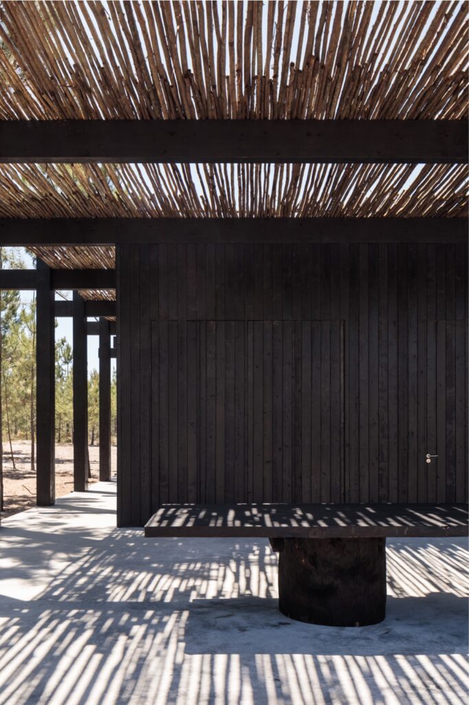 Pavillion Art Center